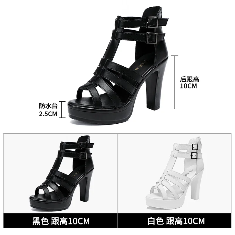 여성 샌들을위한 검투사 숙녀 신발 여름 2024 좁은  - Summer Clothing Stores 리뷰 및 가격